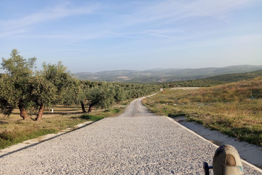Día 5. Baena – Córdoba