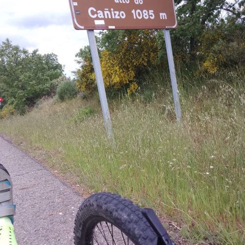 Día9