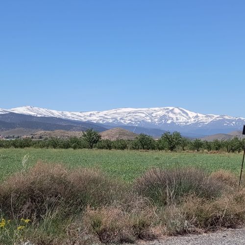 Día 2. Abla – La Peza