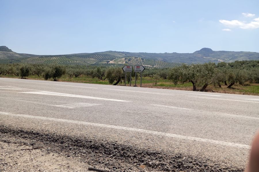 Día 4. Moclín – Baena